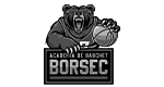 Academia de Baschet Borsec