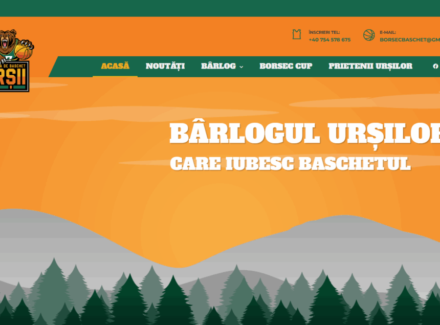 Asta da premieră! Am făcut un bârlog online!
